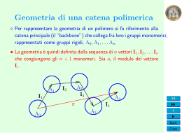 Geometria di una catena polimerica