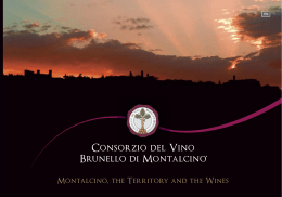 Montalcino, the Territory and the Wines