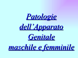 Patologie dell`Apparato Genitale maschile e femminile