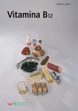 Racolta di fogli «Vitamina B12»