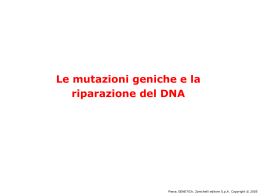 Le mutazioni geniche