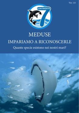 meduse - SETTIMO CONTINENTE