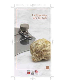La Toscana dei tartufi - Comune di Palazzuolo sul Senio