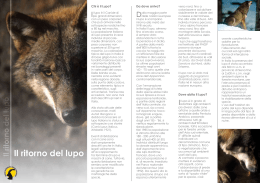 Brochure informativa sul lupo - Parco Nazionale Gran Paradiso
