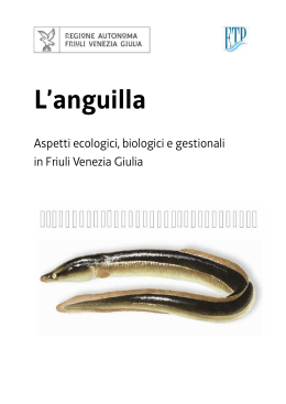 L`anguilla - Regione Autonoma Friuli Venezia Giulia
