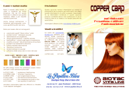 Copper Card - le-papillon