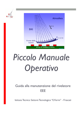 Guida alla manutenzione del rivelatore EEE - "Enrico Fermi"