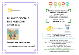 bilancio sociale 2013 - Insieme Intelligenti