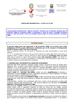 Il decreto legge Anti crisi approvato il 28 novembre 2008, fra le tante