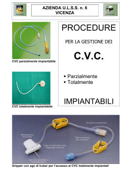 CVC - GAVeCeLT