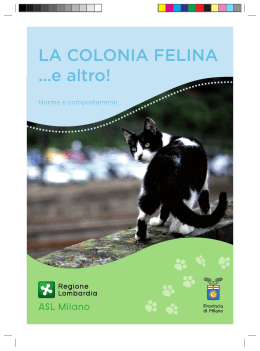 colonia felina - Città metropolitana di Milano
