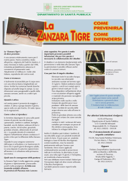 zanzara tigre