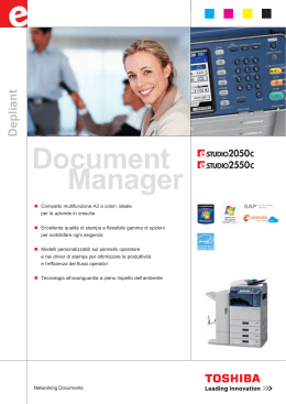 Document Manager - De Gregorio System