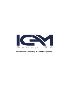 International Consulting & Asset Management