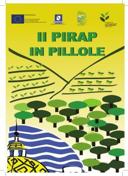 Pirap - Programmazione Unitaria Regione Campania