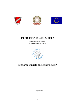Rapporto annuale di esecuzione 2009