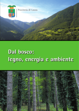Dal bosco: legno, energia e ambiente Dal bosco: legno, energia e