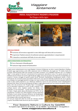 India Parchi e Tigri - Scheda viaggio 2016