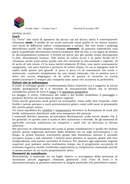 Presidio Udine 1 – Presidio Udine 2 Mercoledì 21 novembre