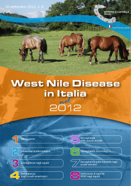 West Nile Disease in Italia nel 2012 [pdf - 3,68 MB]