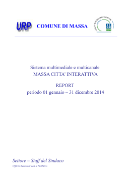 Report Massa Città Interattiva anno 2014