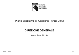 Piano Esecutivo di Gestione - Anno 2012 DIREZIONE GENERALE