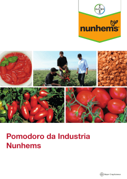 Catalogo Pomodoro Nunhems