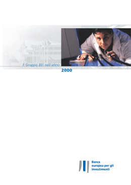 Il Gruppo BEI nell`anno 2000