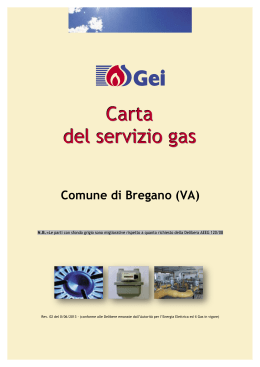 Carta del servizio gas
