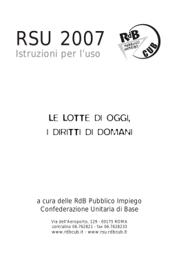 RSU P.I. 2007 Istruzioni per l uso