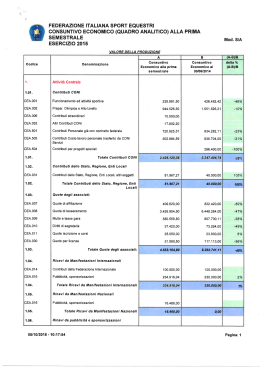 Bilancio consuntivo semestrale al 30 giugno 2015