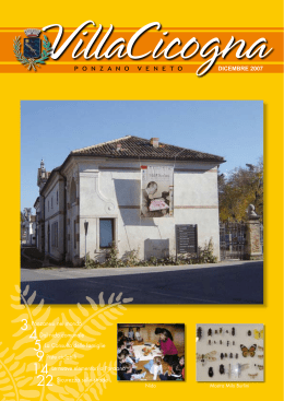 Villa Cicogna - Numero di dicembre 2007