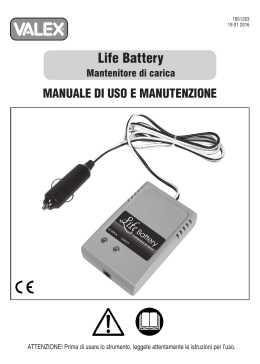 Life Battery