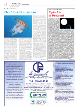Occhio alla medusa - Ses Editoria Genova