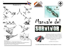 00-01 - Manuale survivor.pub