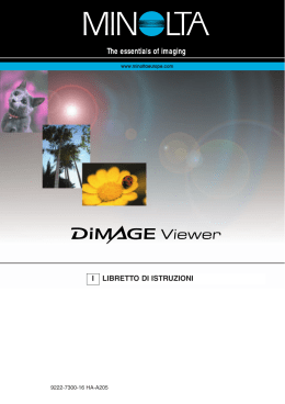 DiMAGE Viewer - Massimo Scotti nel Web