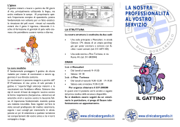 Il gattino - Clinica Veterinaria Borgarello
