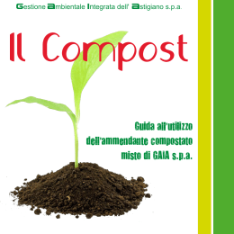 cos`e il compost