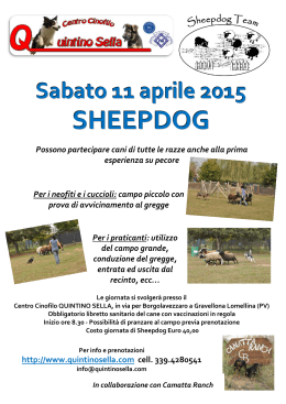 Sheepdog 11-04-2015 - Centro Cinofilo QUINTINO SELLA