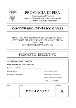 relazione - Provincia di Pisa