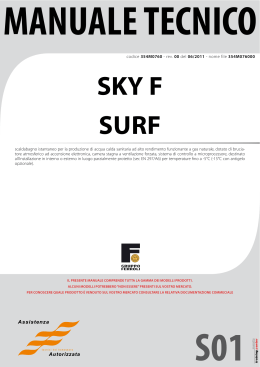 SKY F SURF - Assistenza Ferroli Milano