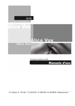 Alice Vox - 3P Elettronica