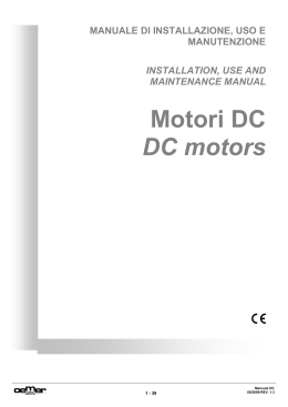 Motori DC DC motors