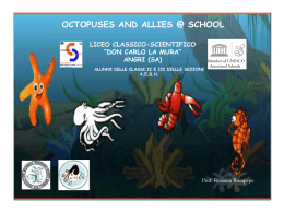 octopuses and allies @ school
