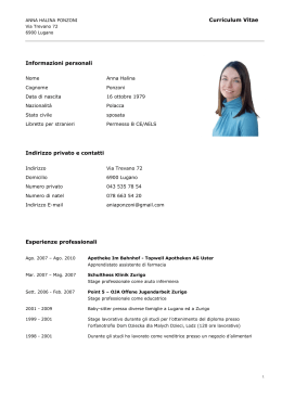 Pierre Dupont Example CV