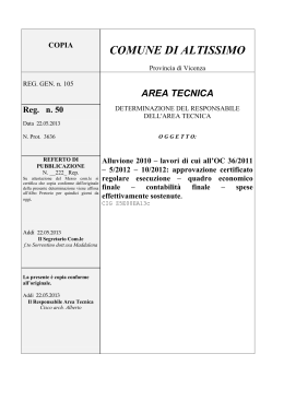 Reg. 222 - DET 50 del 22.05.2013 approvazione rendicontazione
