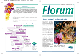 Florum (PDF 1,4 Mbyte)