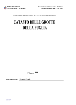 PDF Scheda Cavità 2006