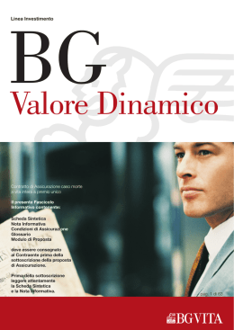 BG Valore Dinamico in vigore dal 01-01-2009 al 31-12-2009