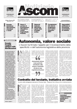 Notiziario 3-2007 - Confcommercio Belluno